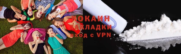 шишки Абаза
