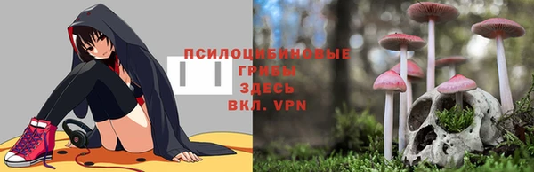 шишки Абаза