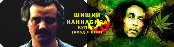 шишки Абаза