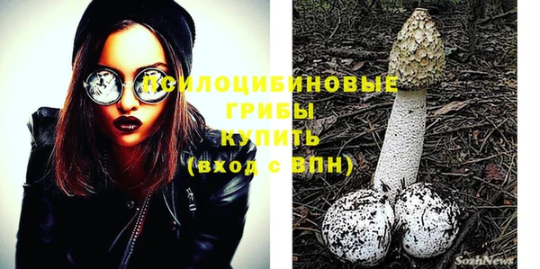 шишки Абаза