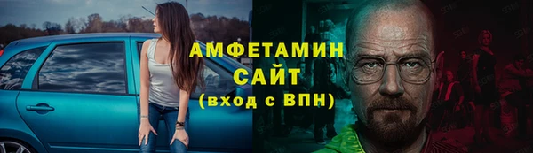 шишки Абаза