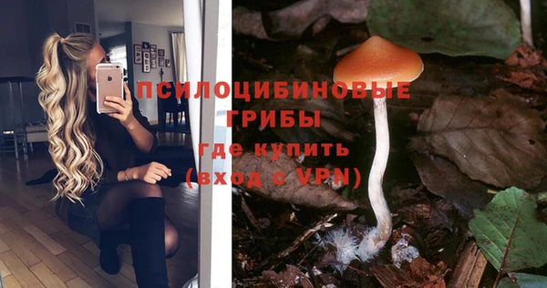 тгк Абинск
