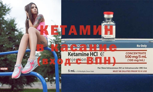 шишки Абаза