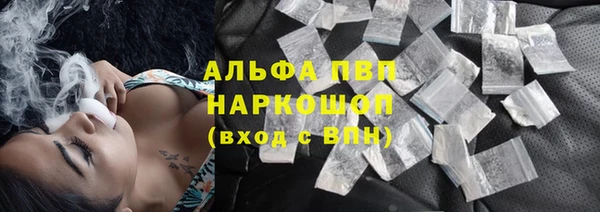 шишки Абаза